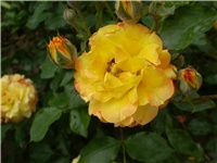 d91b44ea-Picture 4224.jpg